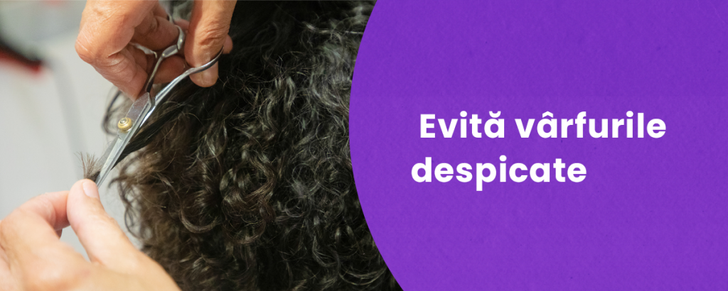 Cum sa iti ingrijesti parul cret ca la carte 3 ellisium blog 3 1