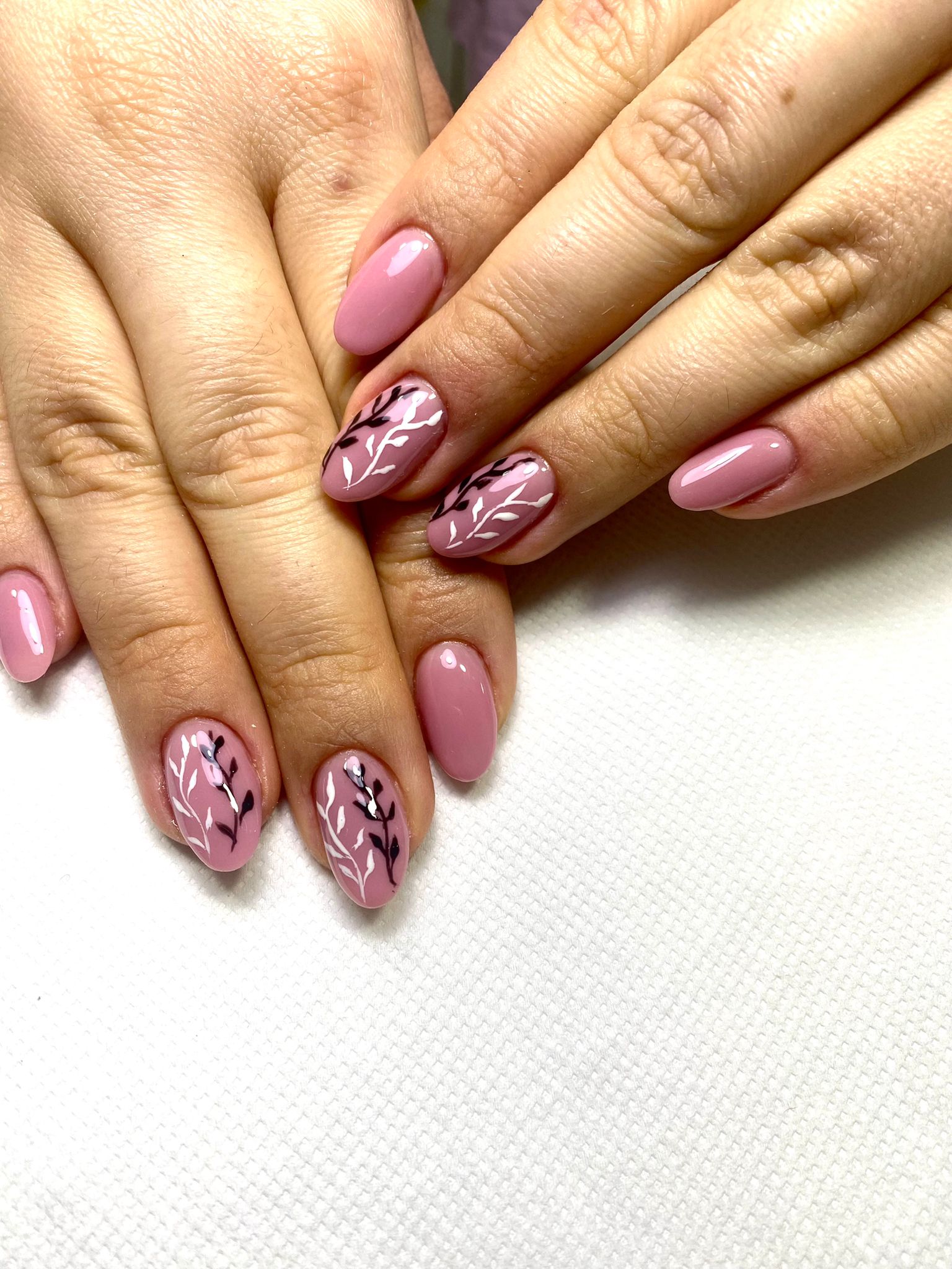 3b40c5f0 0896 4ccd 82f8 52fc5b2f89c4