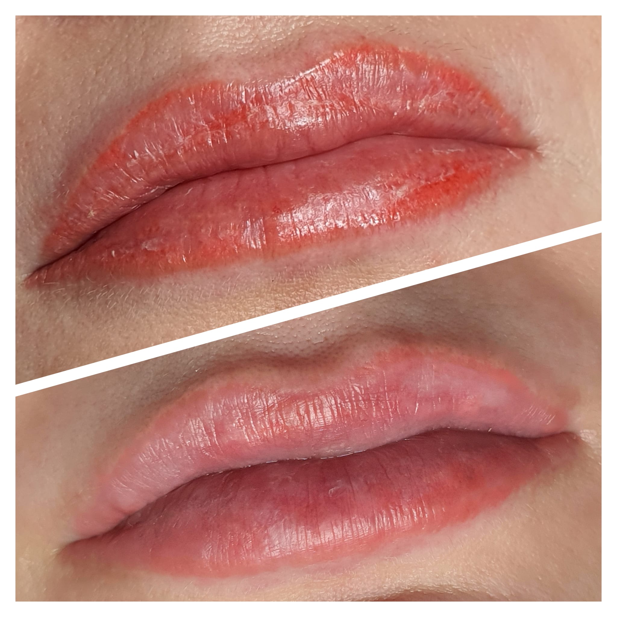 b1dd494b 599c 42fa bace 64f163c4b1bc