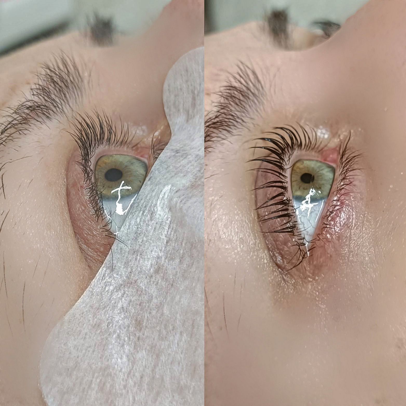 cee3916b 289d 43a6 912d 9f8e36da9699