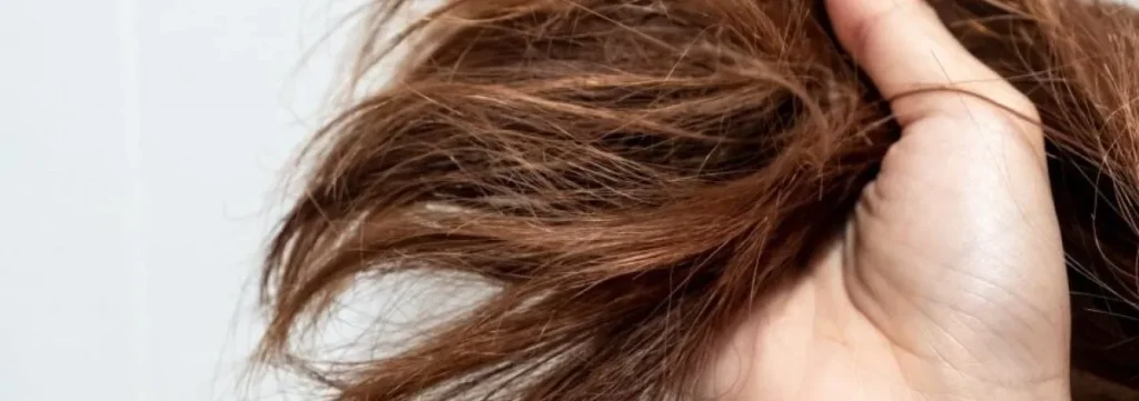 dryhair 1200x423 1